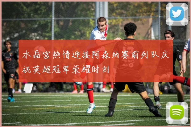 水晶宫热情迎接阿森纳赛前列队庆祝英超冠军荣耀时刻
