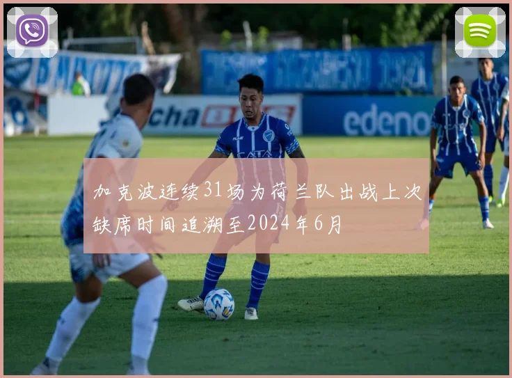 加克波连续31场为荷兰队出战上次缺席时间追溯至2024年6月
