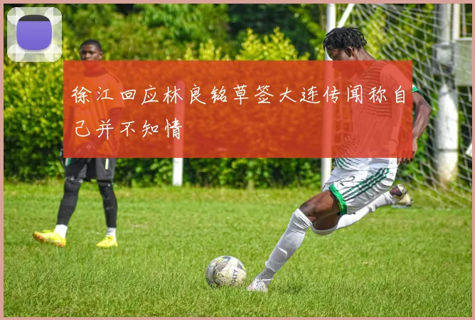 徐江回应林良铭草签大连传闻称自己并不知情