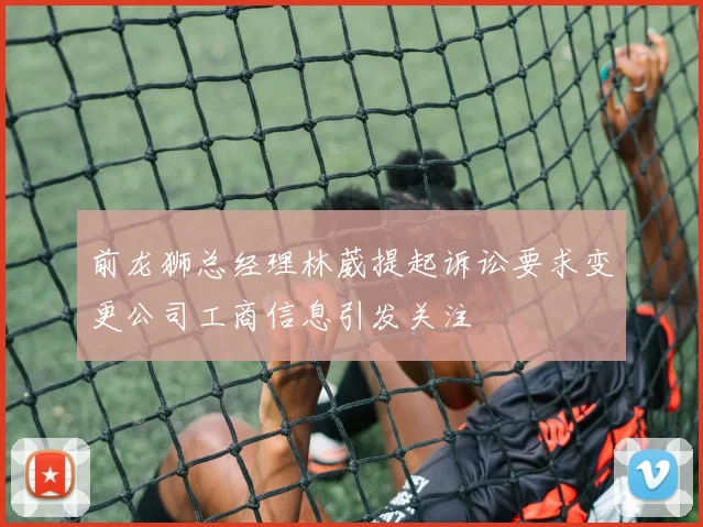 前龙狮总经理林葳提起诉讼要求变更公司工商信息引发关注